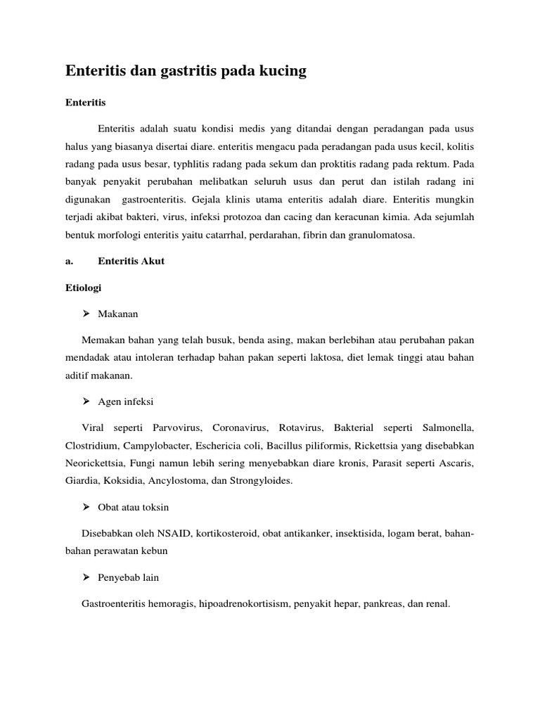 Enteritis Dan Gastritis Pada Kucing