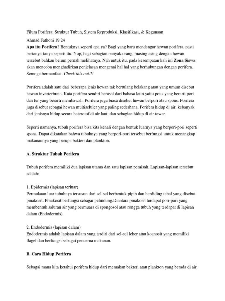 102+ Gambar Hewan Porifera Dan Namanya Terbaik