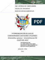 Aplicacion de Sistemas Pasivos para El Tratamiento de Soluciones Residuales de Procesos de Cianuracion en Minería de Oro