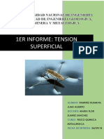 1err Informe Ficometa Tension Superficial