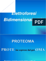 Elettroforesi 2D PDF