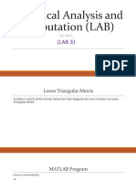 Numerical Analysis and Computation (LAB)