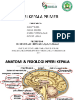 169307213 Pathway Stroke