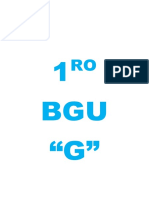 1RO BGU.docx