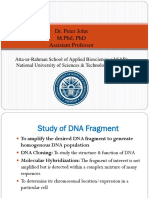 DNA Fragment Study and Cell Based Cloning