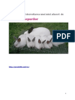 Crestere iepuri-microafacere