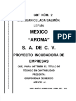 4 Proyecto Incub de Emp. Mexico Aroma -Capitulo IV