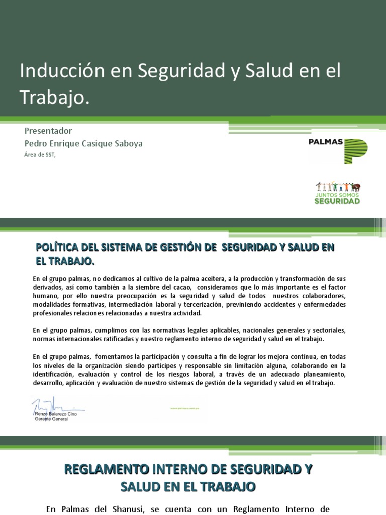Inducción En Seguridad Y Salud En El Trabajo Pdf Bienestar Medicina