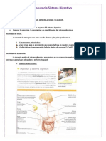 Función de La Nutrición