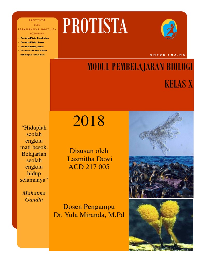 Modul Protista Kelas X Sma