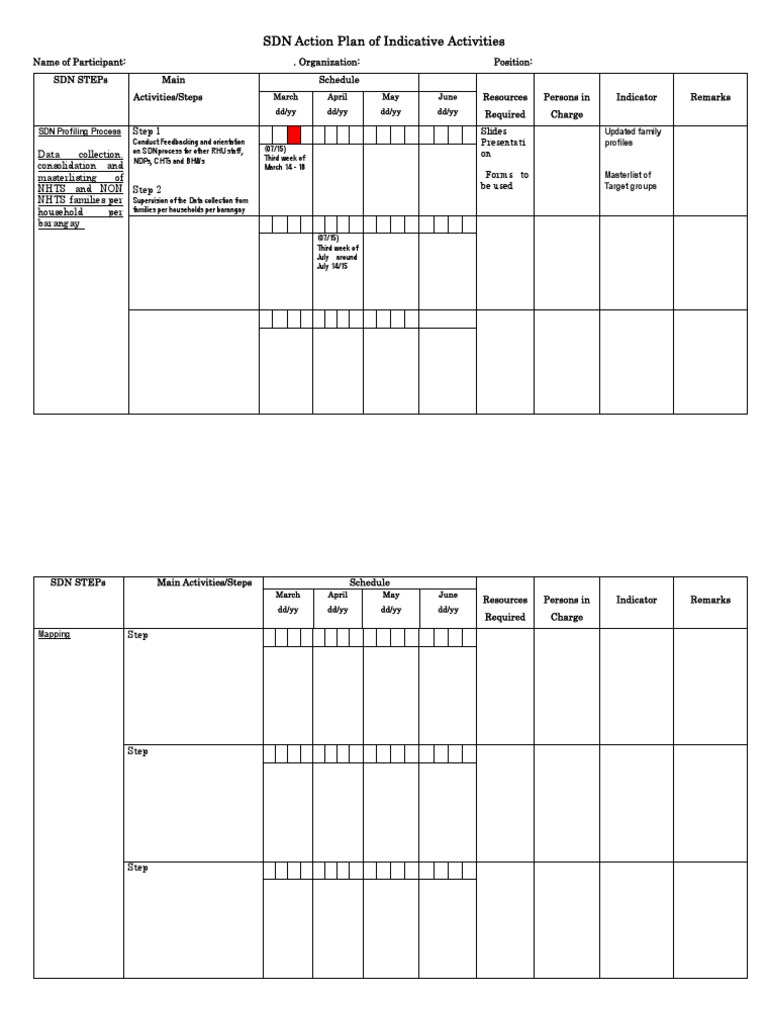 SDN Format Action Plan | PDF | Business