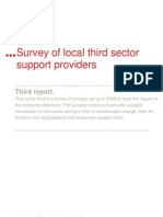 Survey of Local Third Sector Support Providers