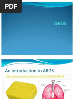 Download n441-ards by asumogat SN39054745 doc pdf