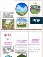 TRIPTICO PRIMAVERA JOEL.docx