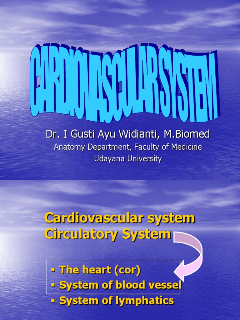 Overview of the Cardiovascular System | PDF | Lymphatic System | Heart
