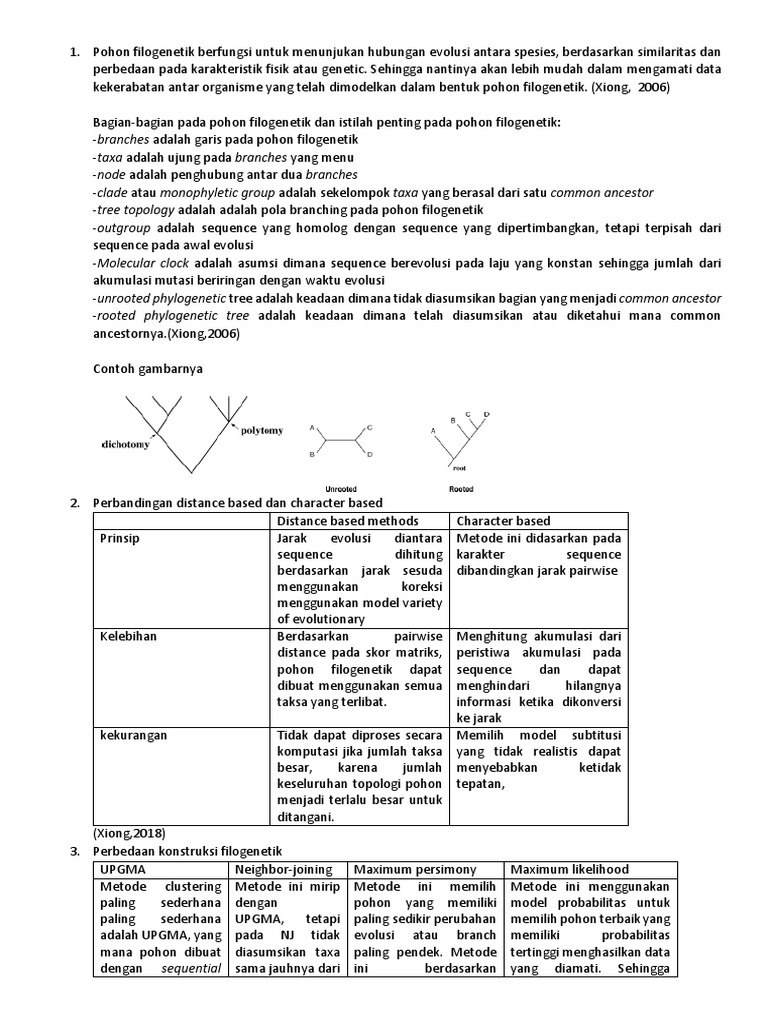 Dasar-Dasar Pohon Filogenetik | PDF