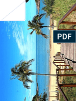 Praia de Bacutia 1 PDF
