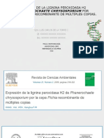 EXPRESIÓN DE LA LIGNINA PEROXIDASA H2 DE PHANEROCHAETE CHRYSOSPORIUM POR LA CEPA PICHIA RECOMBINANTE DE MÚLTIPLES COPIAS..pptx