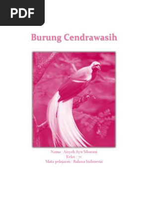 Burung Cendrawasih