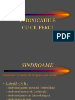 Intox. Ciuperci II