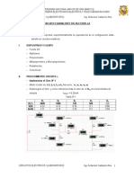 Informe Delta