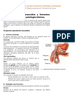 Anexo_Aparato_genital_AnatomIa_fisiologIa_y_patologIas.pdf