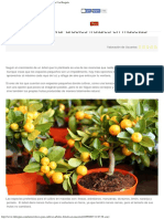 Claves para Cultivar Árboles Frutales en Macetas - Notas - La Bioguía PDF