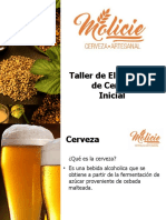 Taller Inicial Cerveza Artesanal