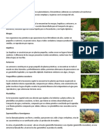 Taxonomía de Las Plantas