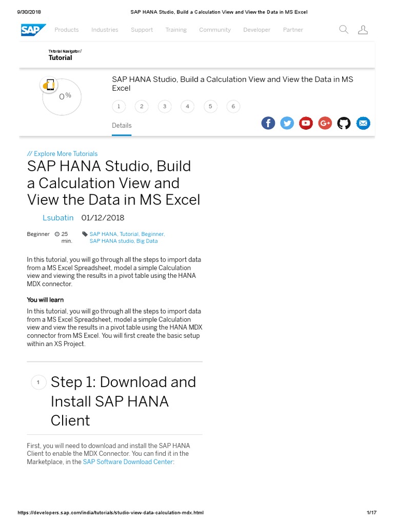 SAP HANA Studio, Build A Calculation View and View The Data in MS Excel ...