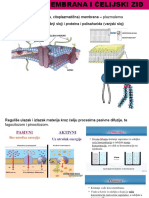Ćeliska Membrana