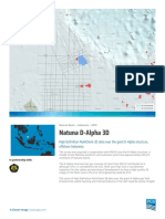 Natuna D-Alpha 3D: High Definition Multiclient 3D Data Over The Giant D-Alpha Structure, Offshore Indonesia