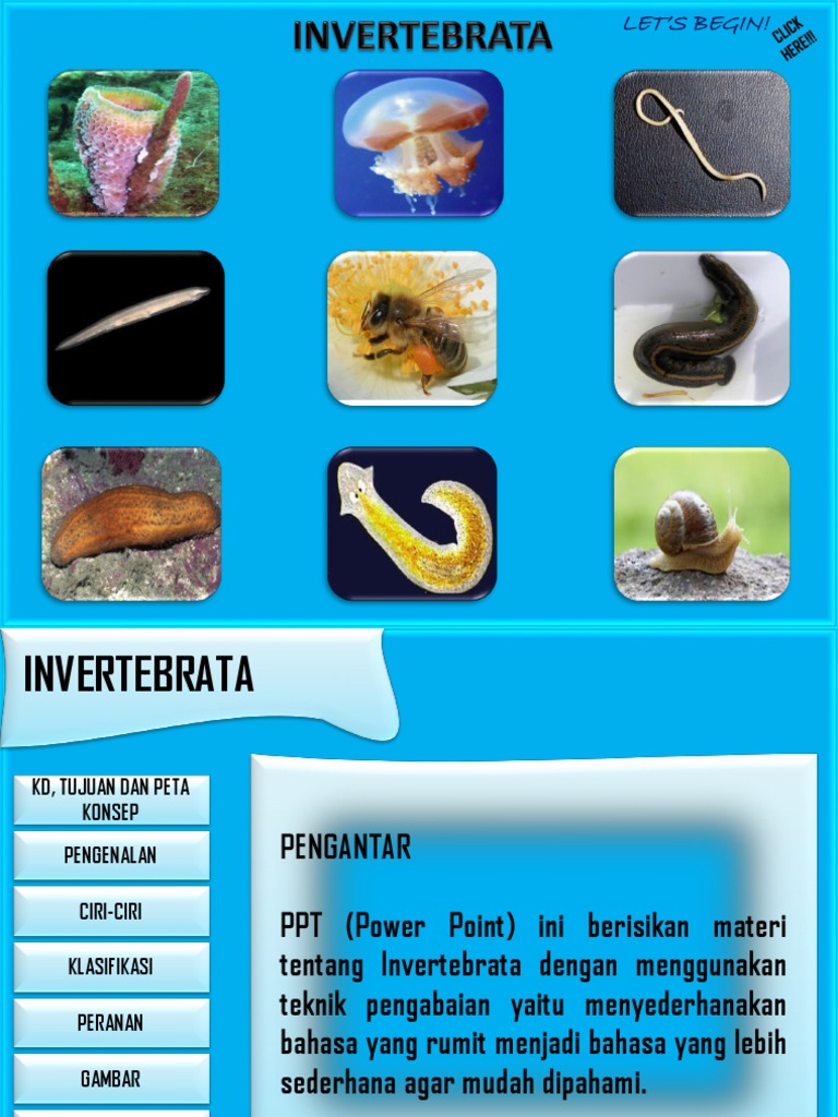 5 Biomekanika