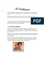 analfabetismo (modificado).docx