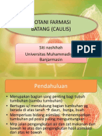 Botani Farmasi (Batang) PDF