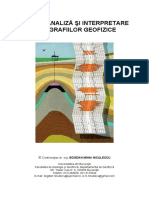 Analiza Si Interpretare A Diagrafiilor Geofizice PDF