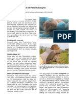 Wuehlmausfallen PDF