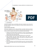 MANFAAT KARBOHIDRAT, LEMAK, PROTEIN, DAN ENZIM