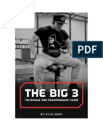 The Big Three Technique and Programming Guide