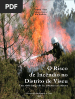 O risco de incêndios no Distrito de Viseu