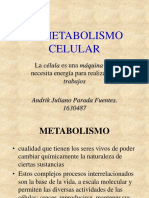 El Metabolismo Celular