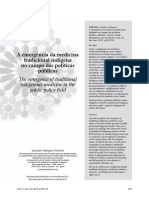 3 A medicina tradicional indígena e o sistema de saúde (1).pdf