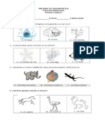 Ev. Diagnóstica Ciencias Naturales 1°