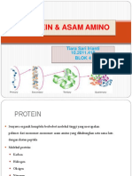 Protein & Asam Amino