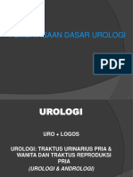 Pemeriksaan Dasar Urologi