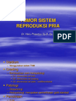 Tumor Sistem Reproduksi Pria