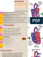 Seminario Fisiologia Del Corazon