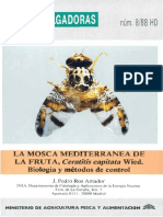 Mosca de La Fruta