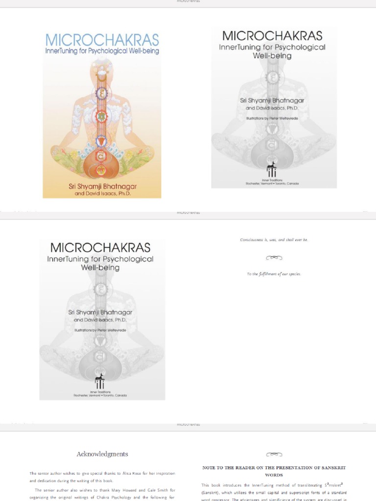 Micro Chakras | PDF