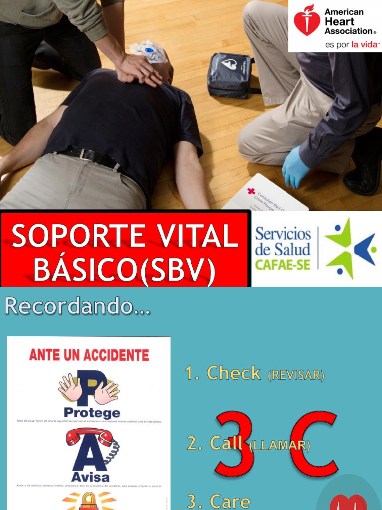 Soporte Básico de Vida (Sbv) Reanimación